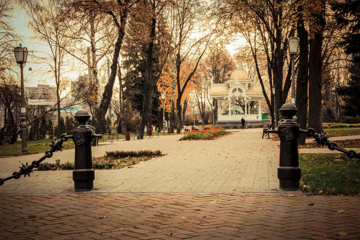 sumy autumn