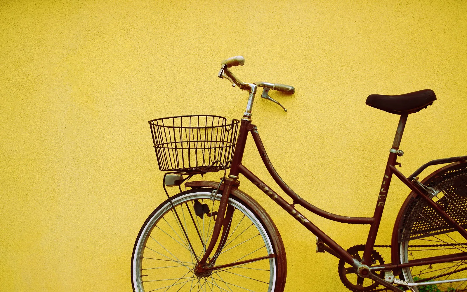 bicycle01