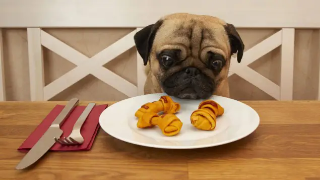 Собака їсть 4acf5ef008a46938d2b5c1e9987f6b6dv1 max 635x357 b3535db83dc50e27c1bb1392364c95a2