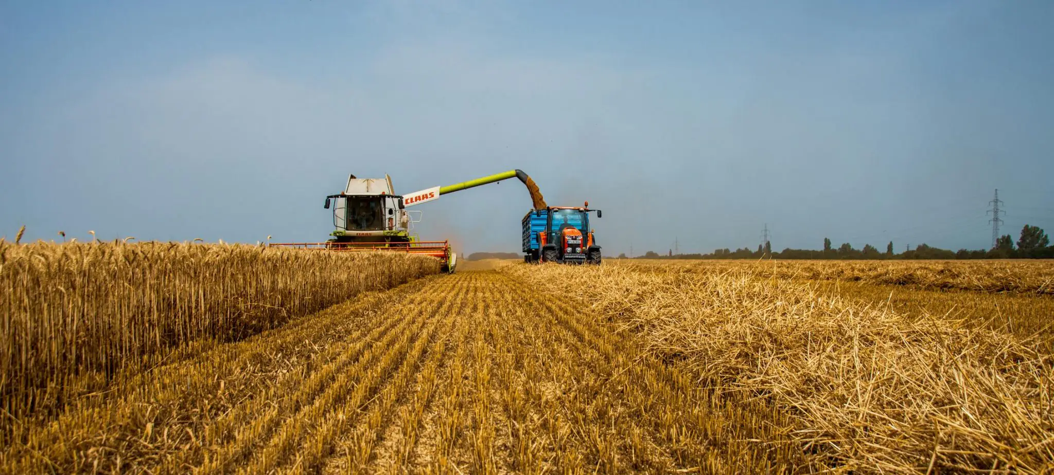 pexels photo 27037549 pexels photo 27037549