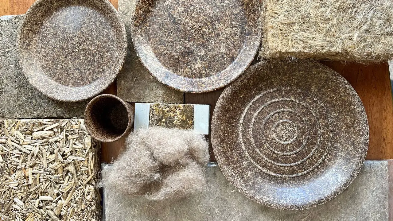 photo 2024 11 27 14.54.03 photo 2024 11 27 14.54.03