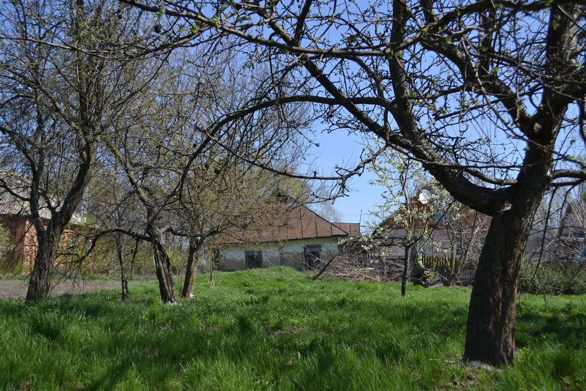 DSC 0713 1
