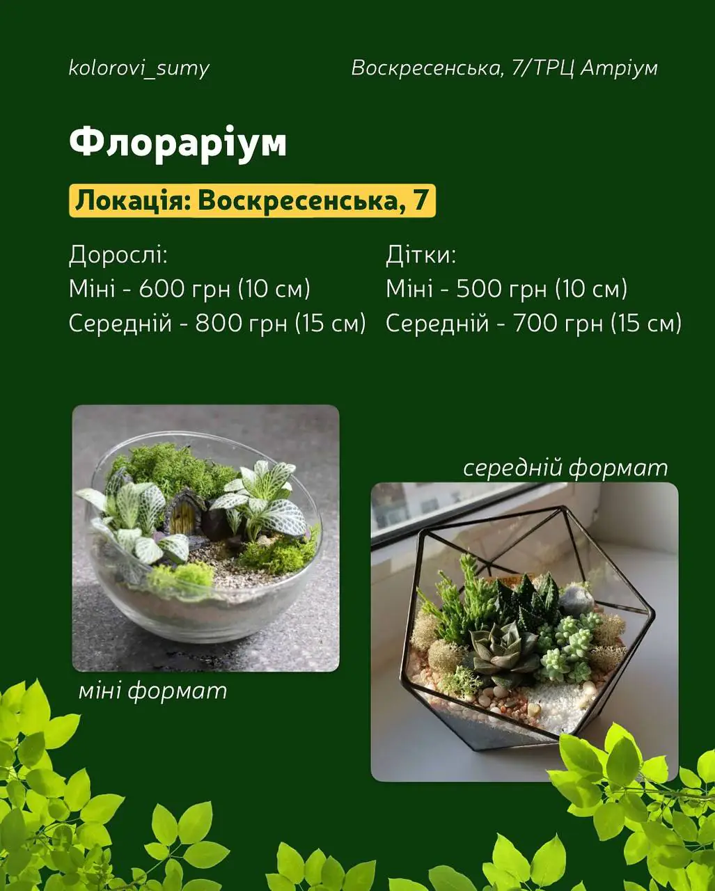 photo 2025 05 30 17 51 12