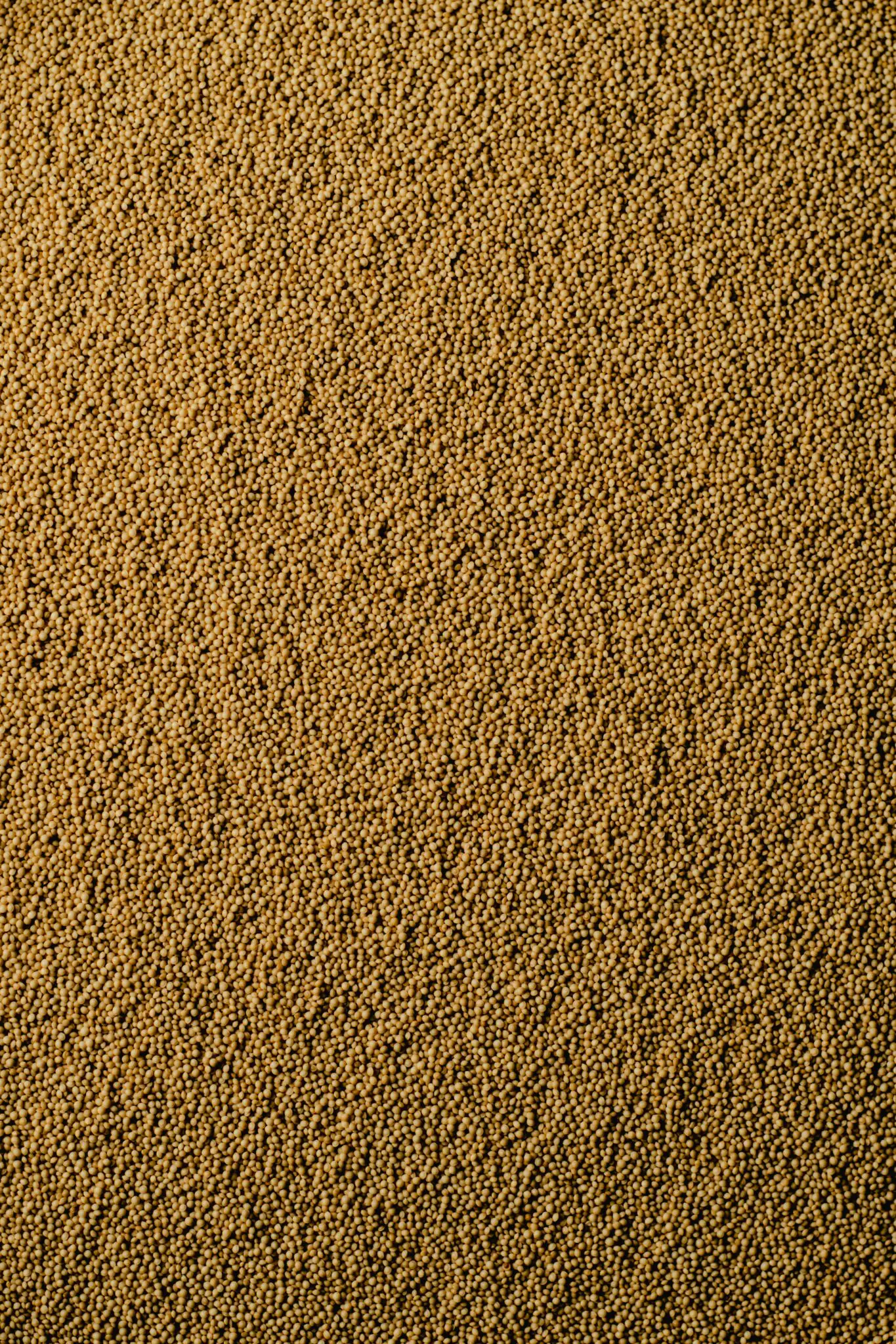 pexels eva bronzini 5988322 1