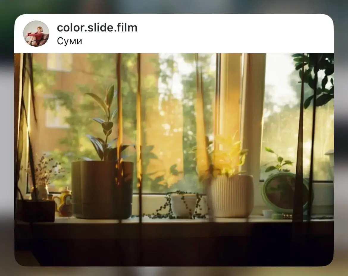 Вікно з квітами в Сумах на плівку