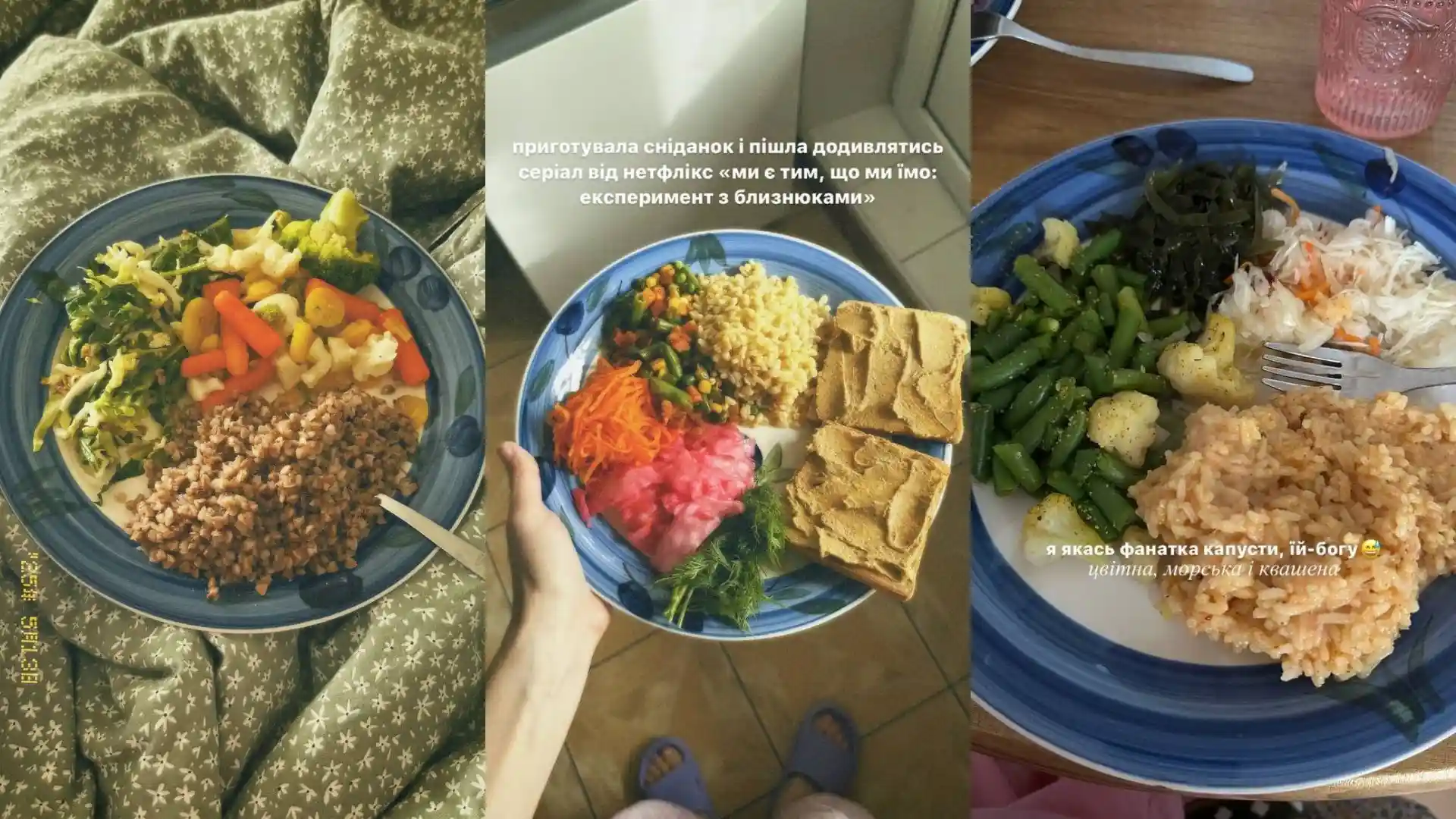 roslynne kharchuvannia sumiany