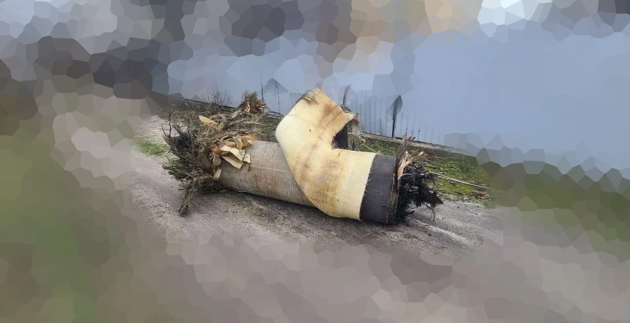 Уламок ракети Циркон