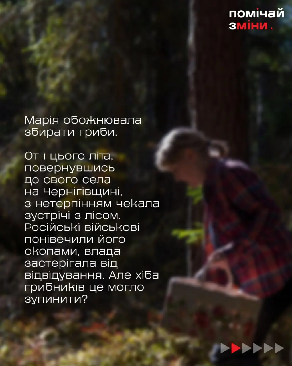 zahrozy v lisi zahrozy v lisi