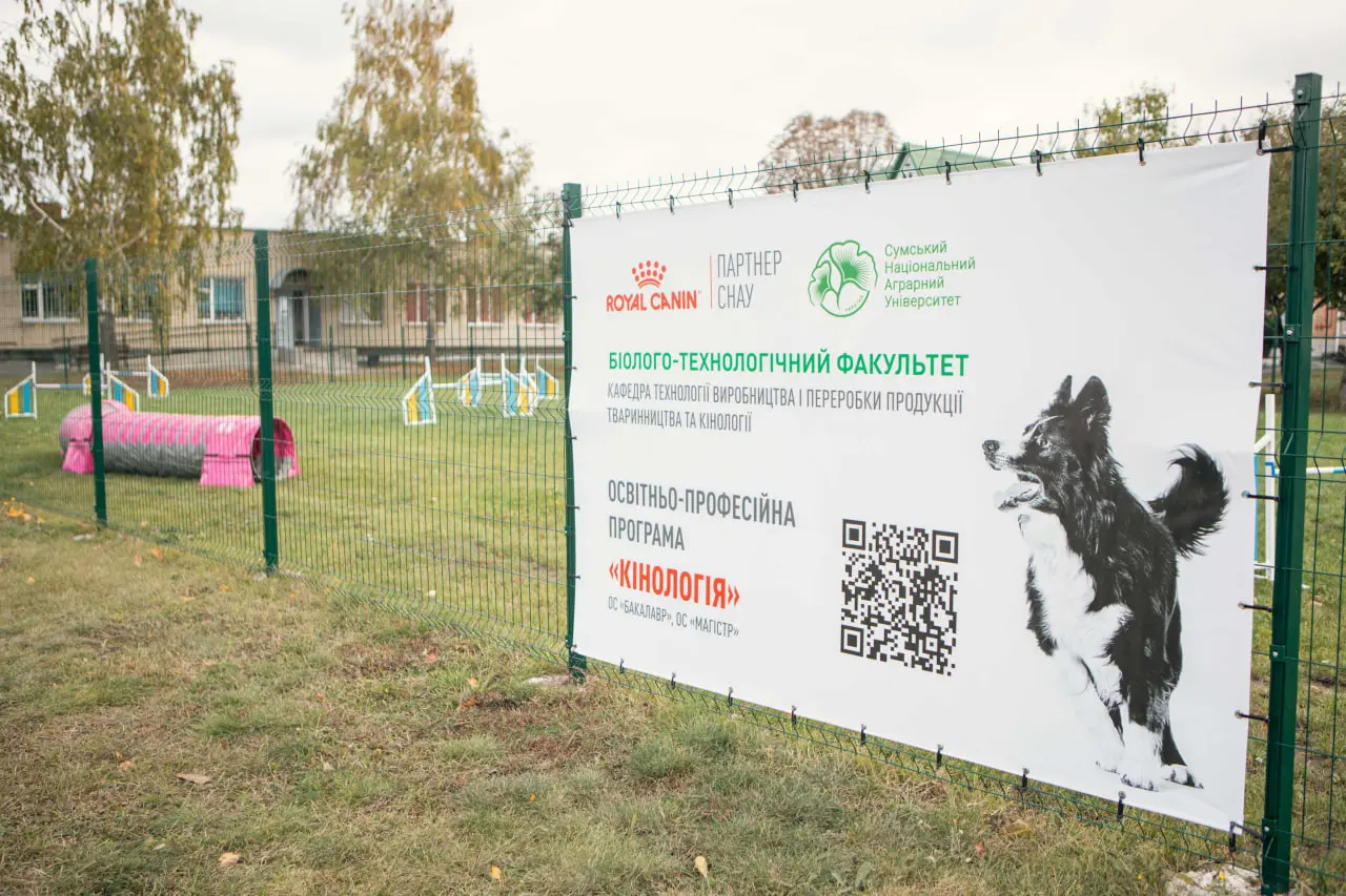 agility centr sumy центр аджиліті в СНАУ