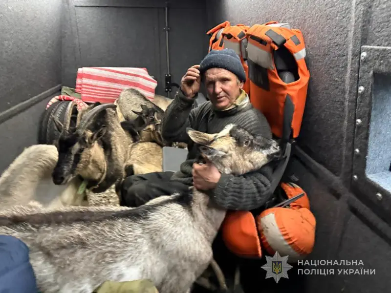 evakuatsiya cholovika z 11 kozamy
