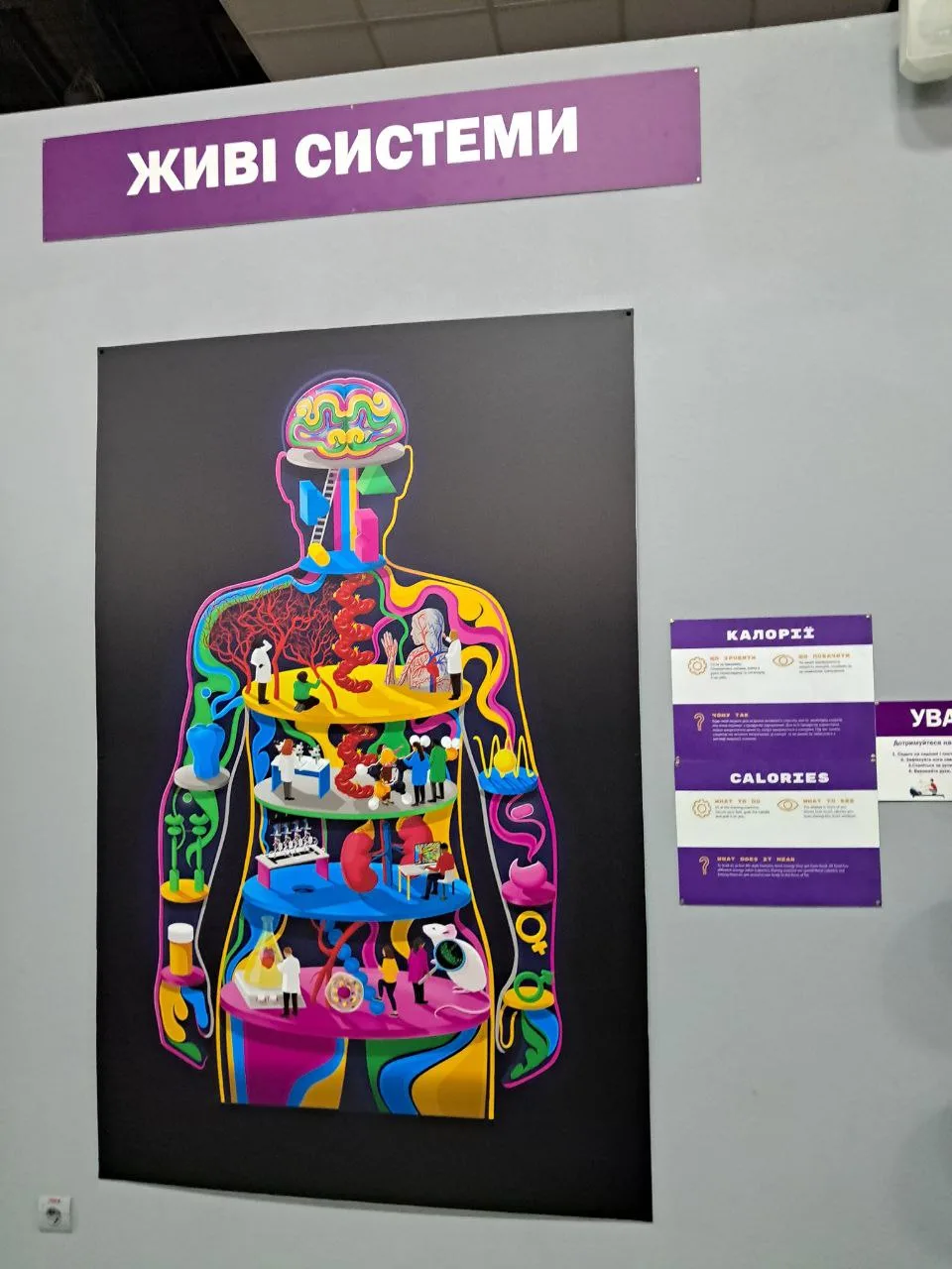 idei tsikavykh biznesiv 1 У музеї науки в Києві показують, як працює організм людини