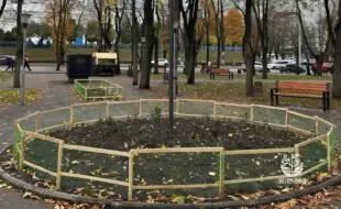 Клумба з трояндами в Сумах