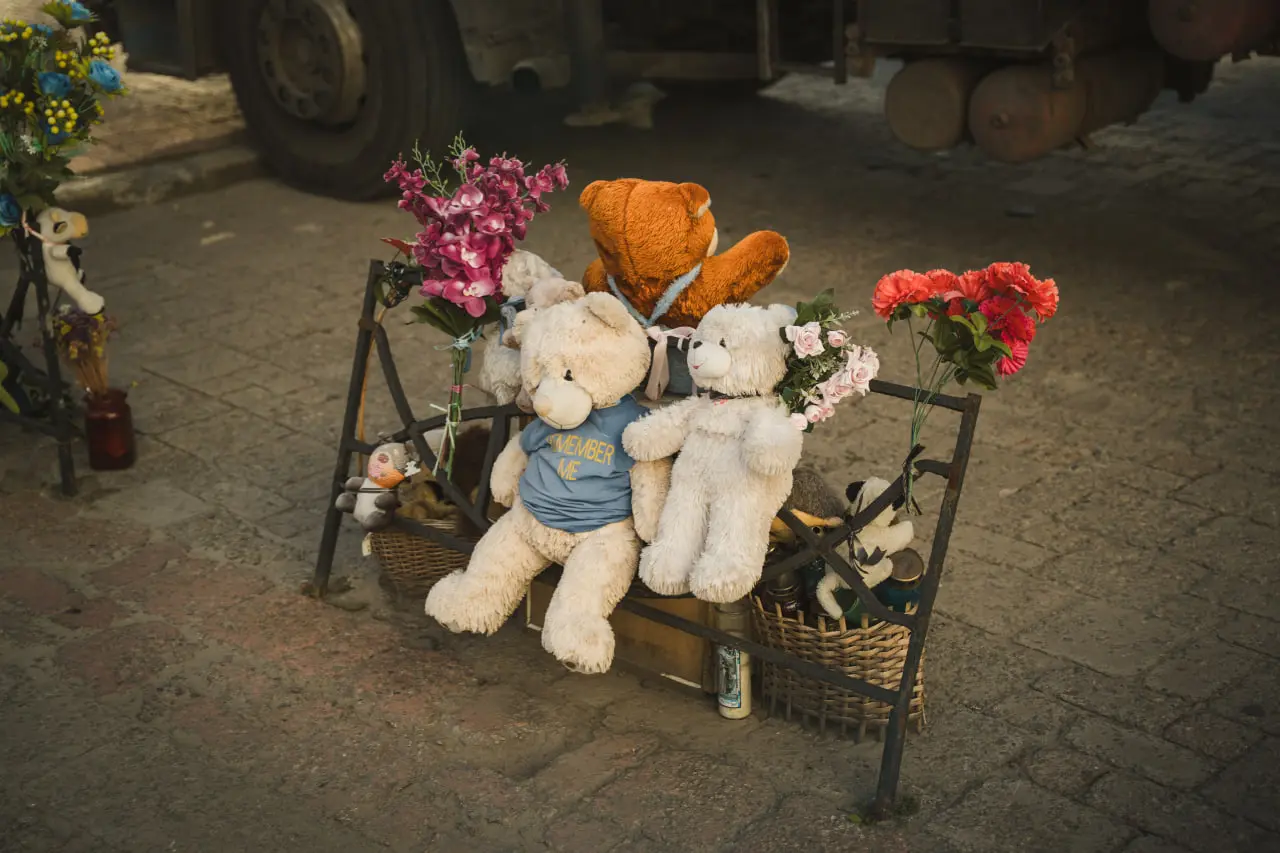 memorial bilya sumdu меморіал біля СумДУ