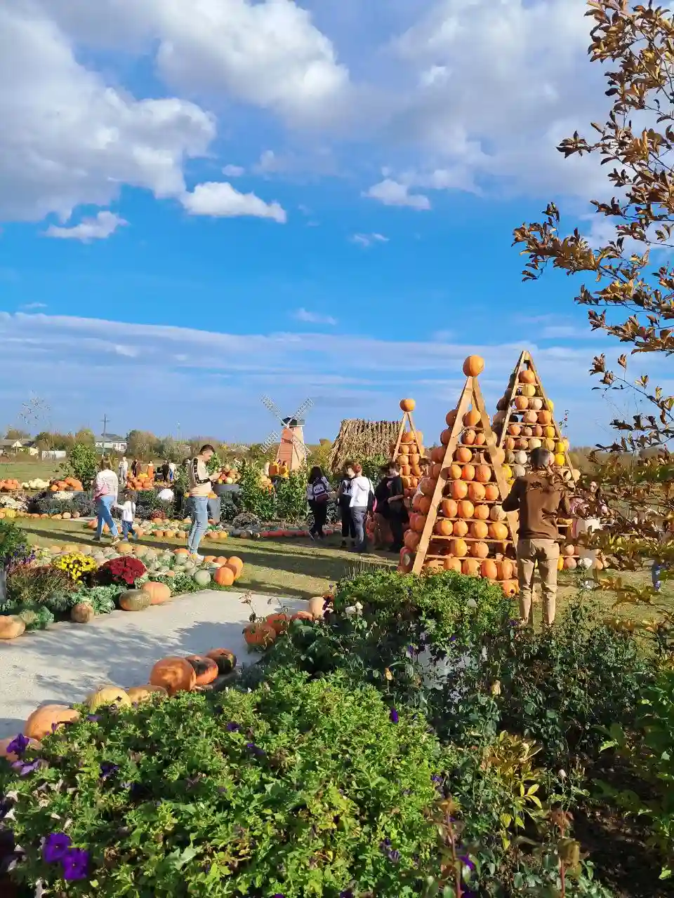 nezvychni lokatsii dlia sum Український осінній квітковий парк