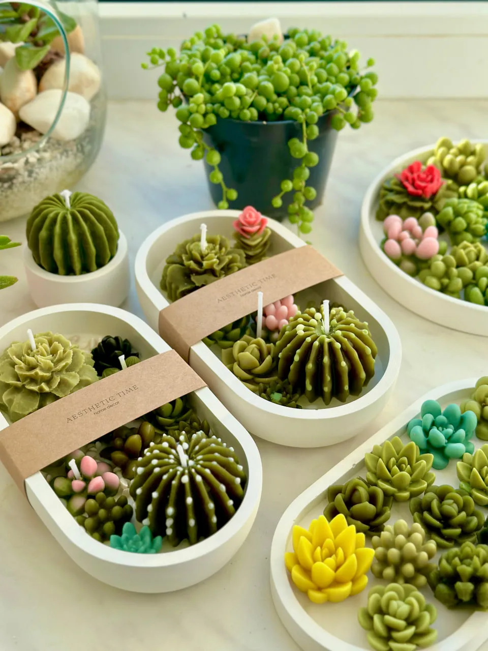 Сумська підприємиці створює свічки у формі кактусів, які схожі на квітковий горщик