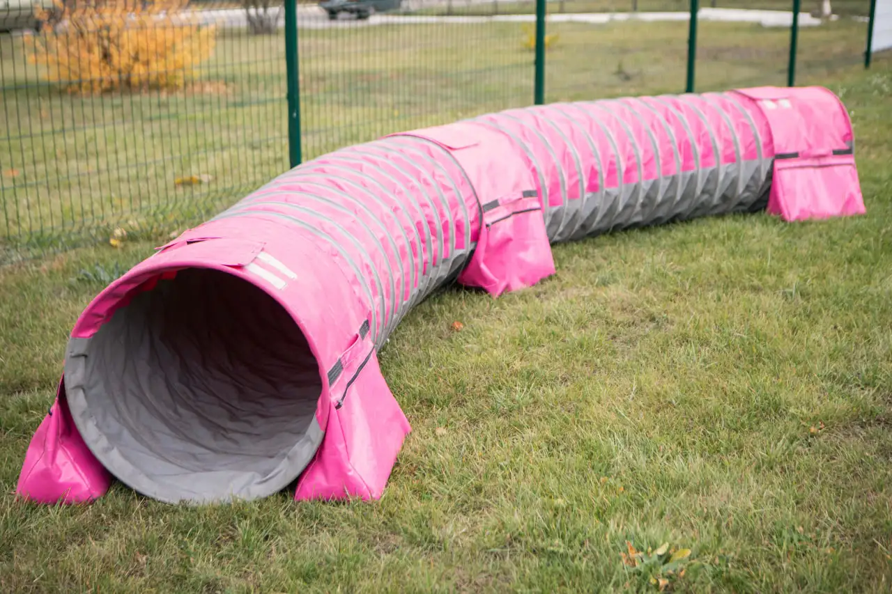truba agility труба для собак біля СНАУ